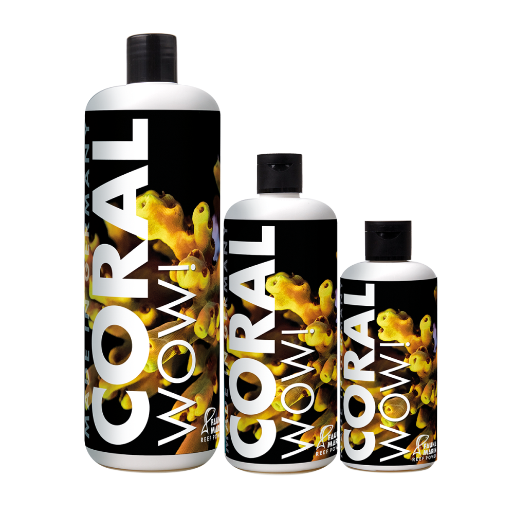 Fauna Marin Coral WOW