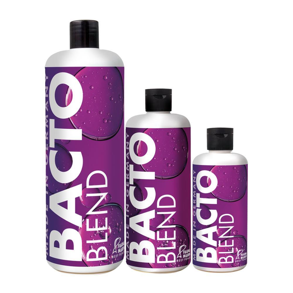 Fauna Marin Bacto Blend - Riff Bakterien