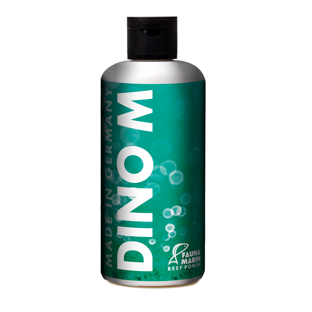 Fauna Marin DINO M - Dino Behandlung