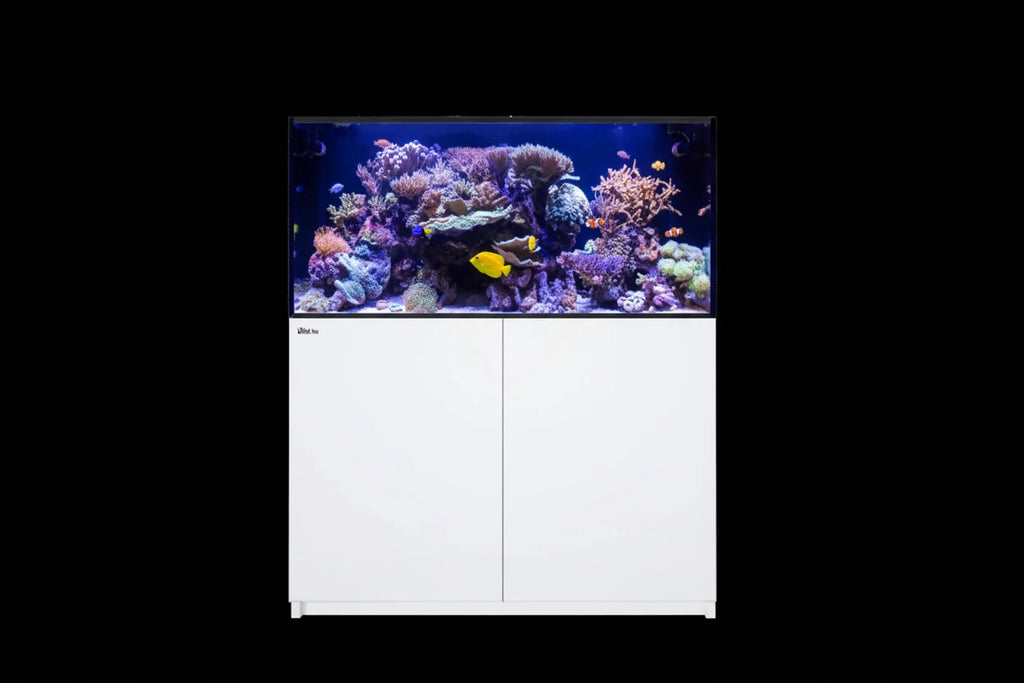 RedSea REEFER™ 425 System G3 - Weiß