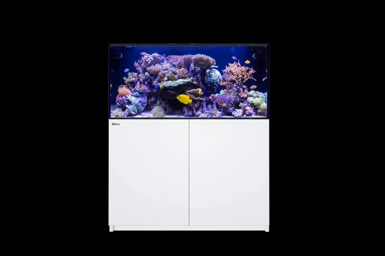 RedSea REEFER™ 425 System G3 - Weiß